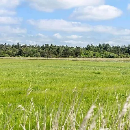 10844-ulfborg-svollingvej-80 * Øhuse